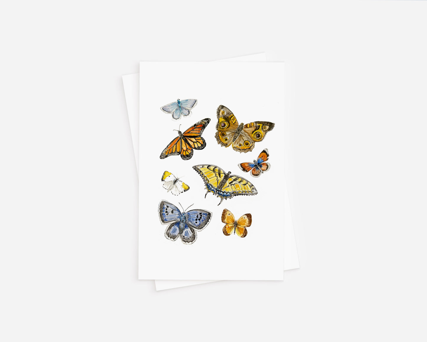 Butterfly Note Cards